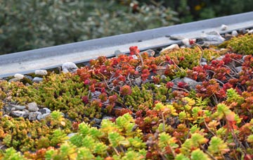 the cost of Donna Nook green roof installation