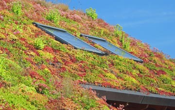Donna Nook living roof systems