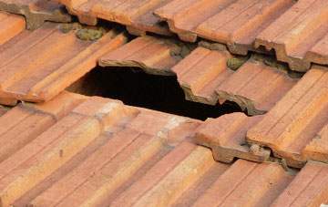 roof repair Donna Nook, Lincolnshire