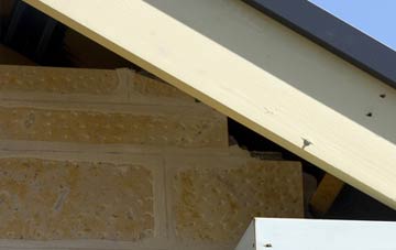 soffit repair Donna Nook